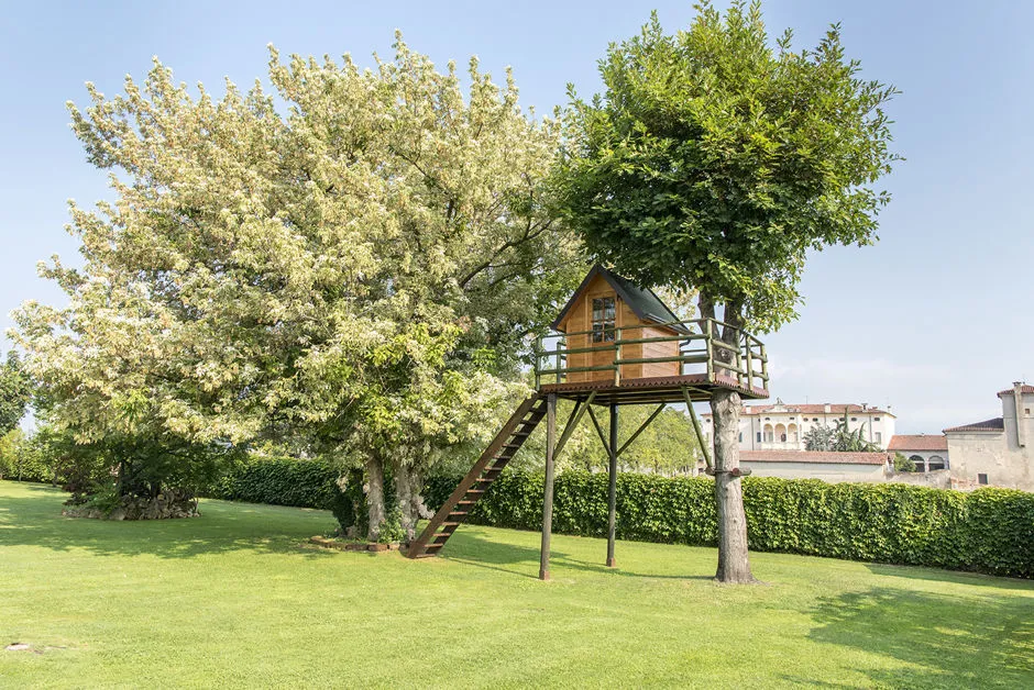 Casetta sull'albero 